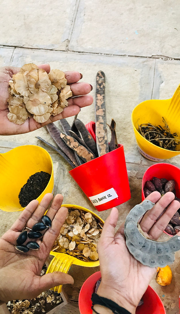 Seed Bank